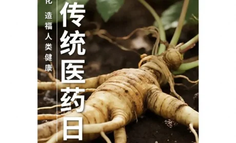 和治友德 | 世界传统医药日：弘扬养生文化 造福人类健康