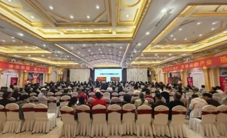 “健康中国 安惠在行动”石家庄站报告会举办