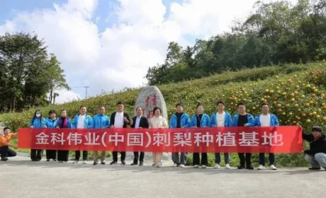 金科伟业市场部赴贵州桐梓基地深度考察