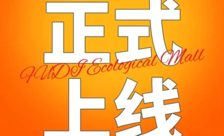 富迪生态商城正式上线 开辟大健康零售新路径