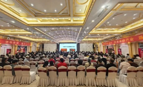 “健康中国 安惠在行动”石家庄站报告会举行
