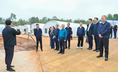 绿之韵 | 胡国安代表陪同长沙市人大常委会主任罗缵吉一行调研